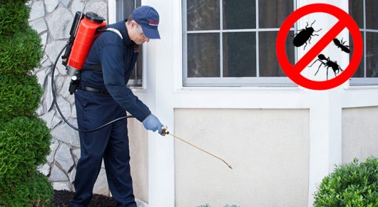 Nazımiye Böcek ve Haşere İlaçlama böcek ilaçlama ve haşere kontrolü — ilaclama-tr.com